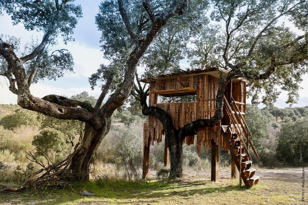 Eco-Lodge En La Reserva Privada Campanarios De Azaba - Proyecto De Conservacion Espeja 외부 사진