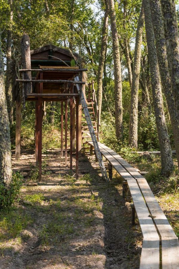 Eco-Lodge En La Reserva Privada Campanarios De Azaba - Proyecto De Conservacion Espeja 외부 사진
