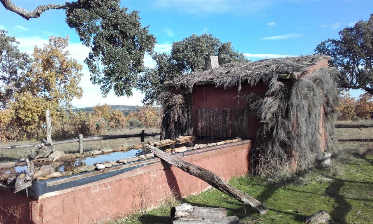 Eco-Lodge En La Reserva Privada Campanarios De Azaba - Proyecto De Conservacion Espeja 외부 사진